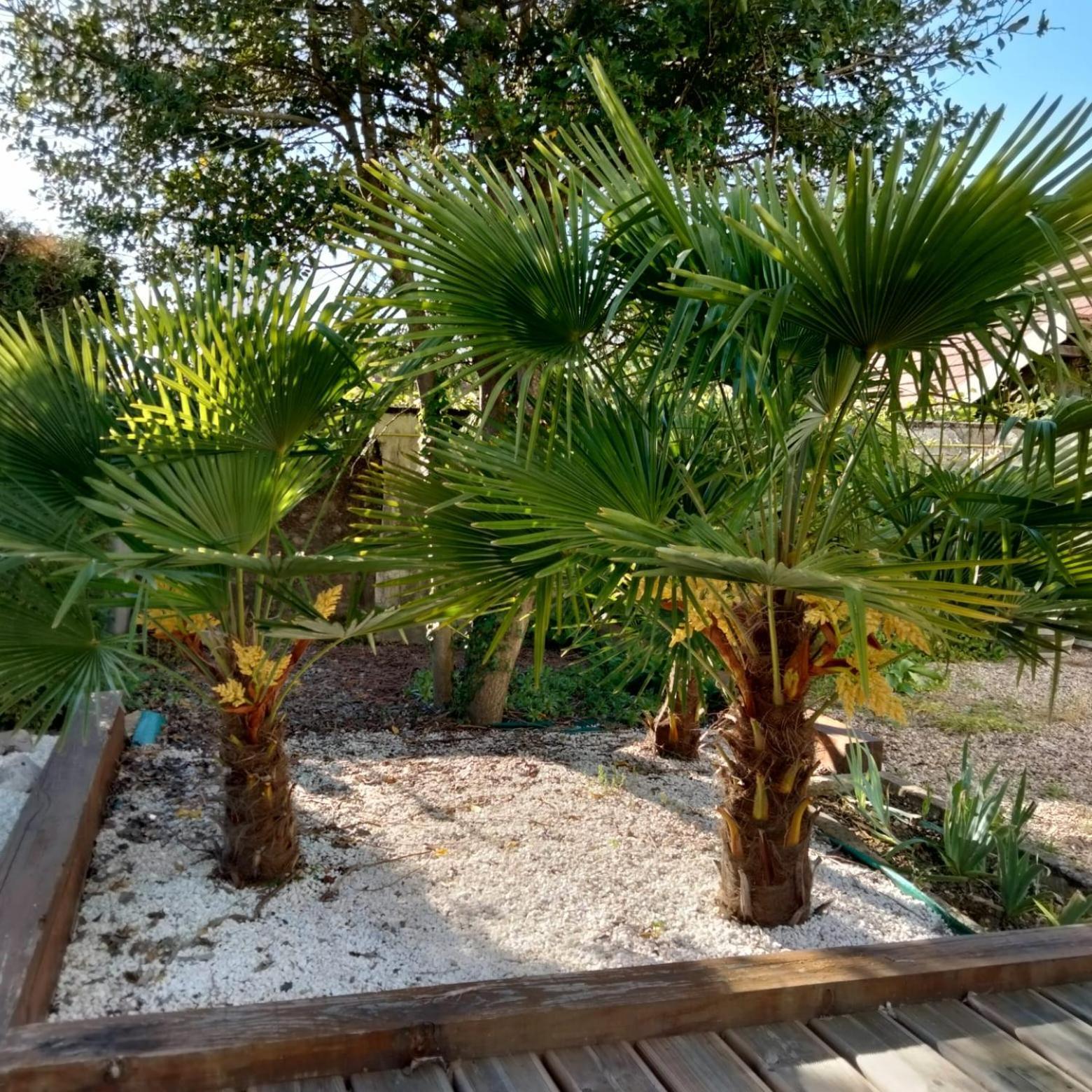 Bed and Breakfast Le Jack Mont-sous-Vaudrey Exterior foto