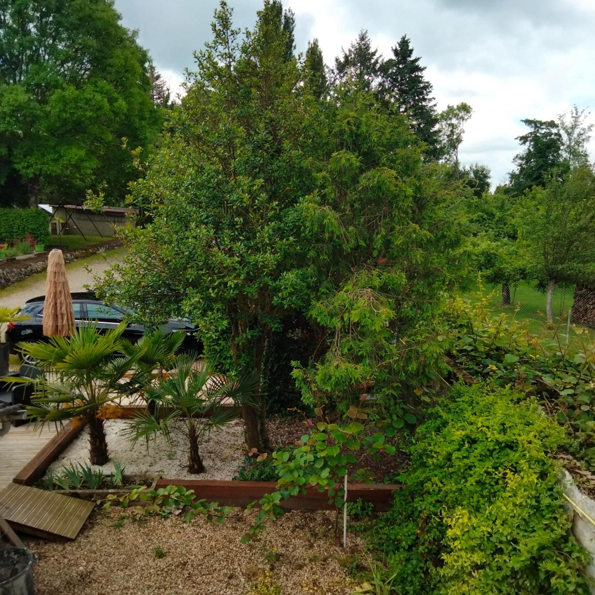 Bed and Breakfast Le Jack Mont-sous-Vaudrey Exterior foto